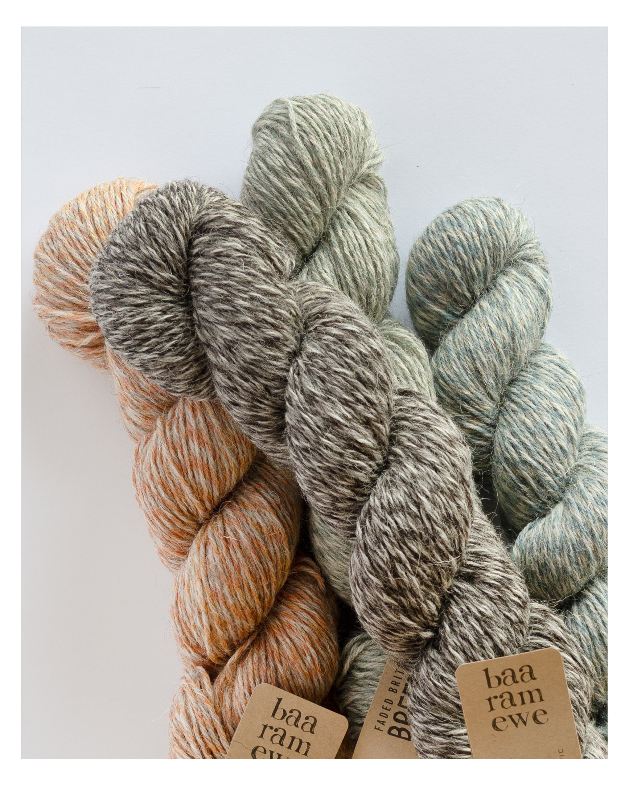 Faded British Breeds | DK