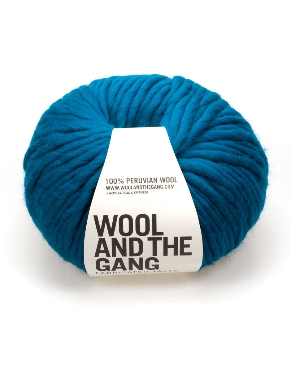 Crazy Sexy Wool | Super Bulky