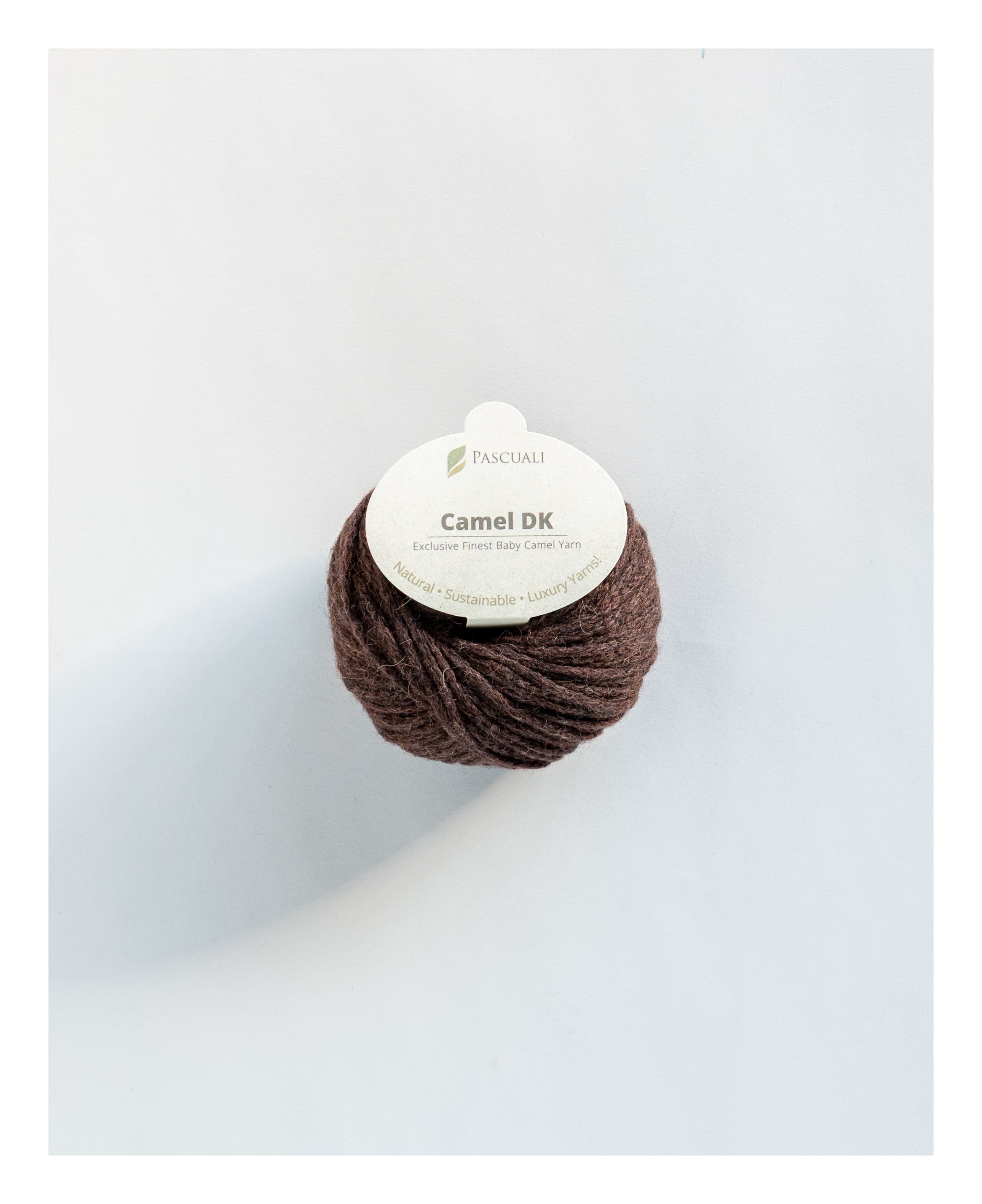 Camel | DK