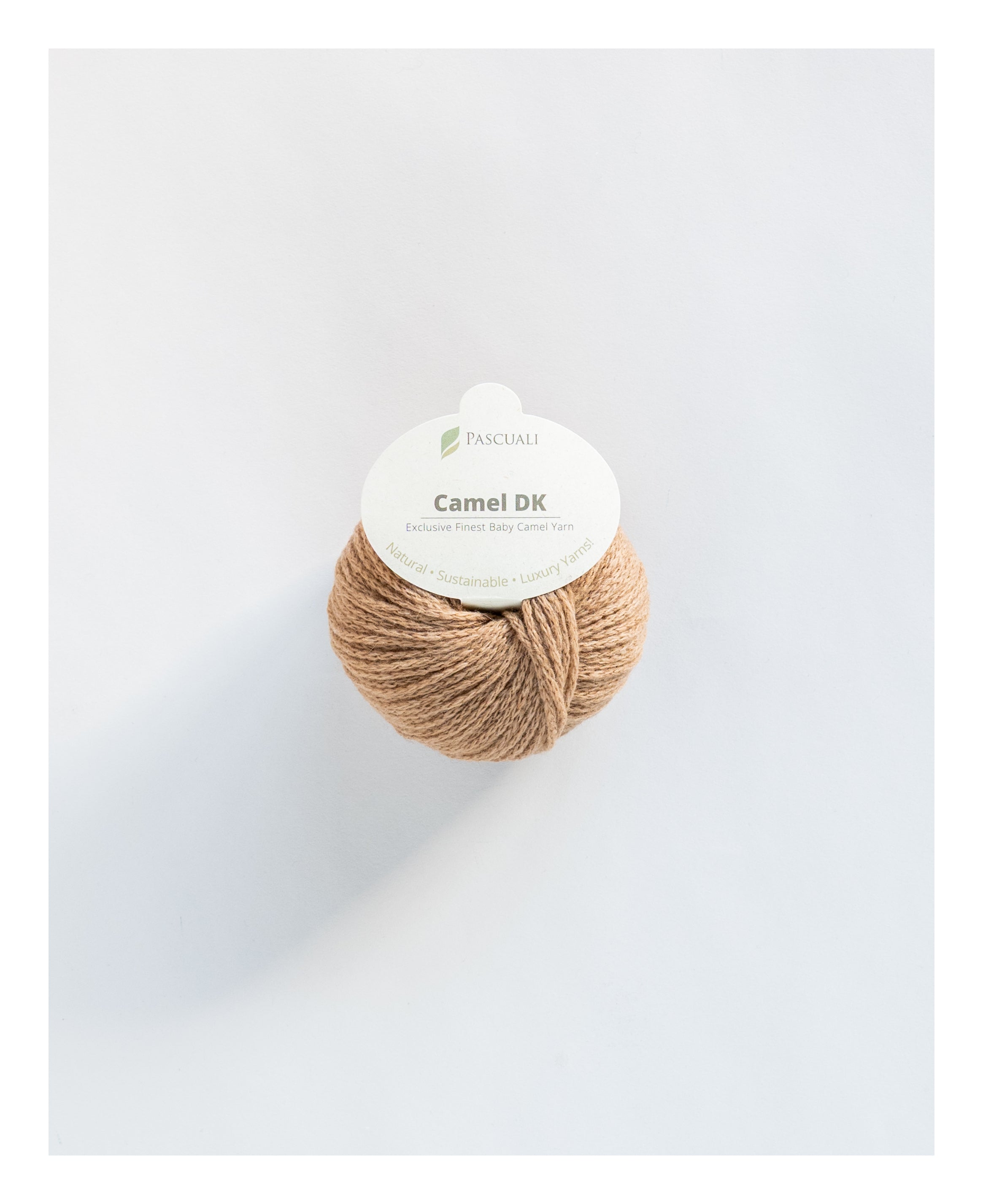Camel | DK